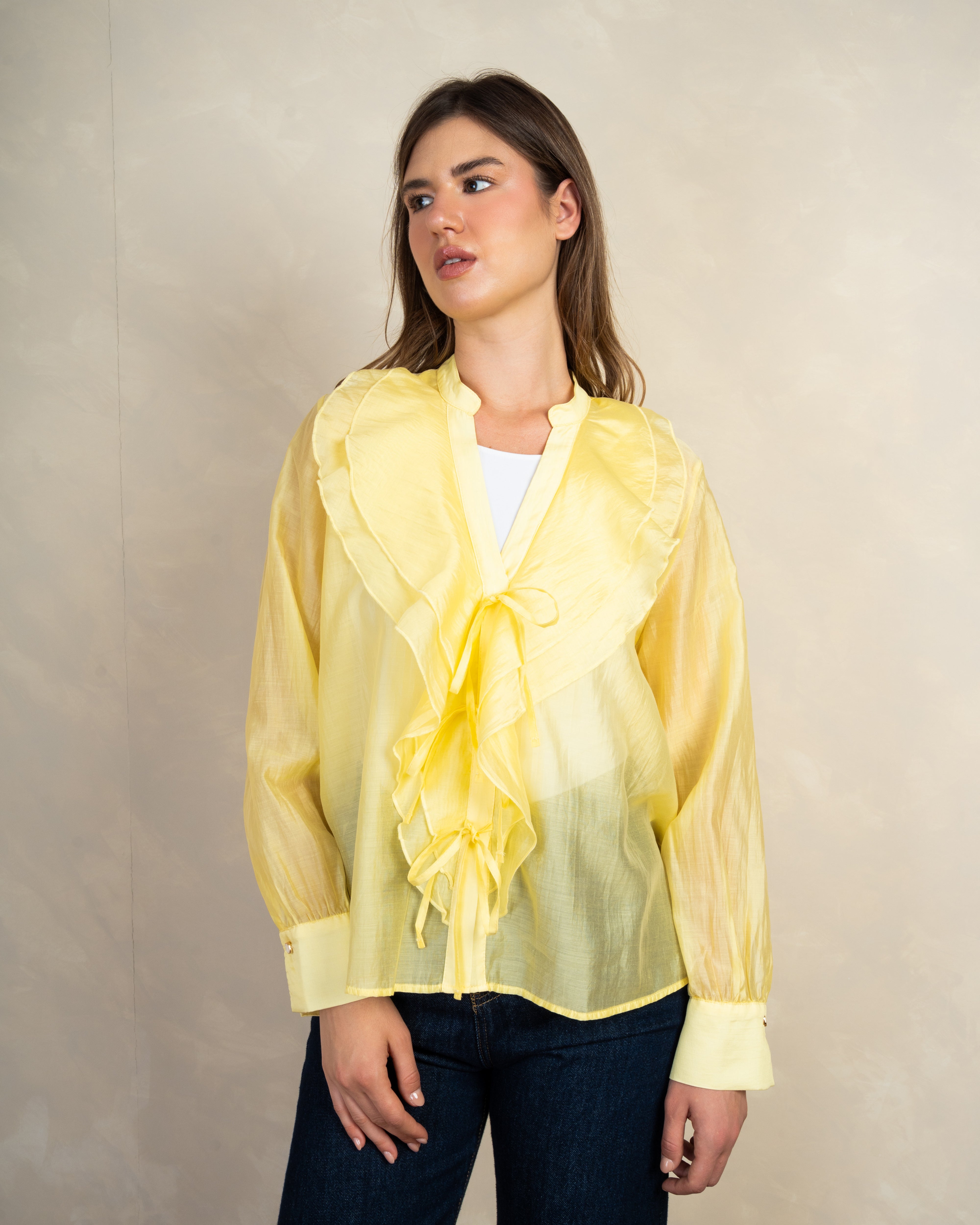 Rose Detail Blouse