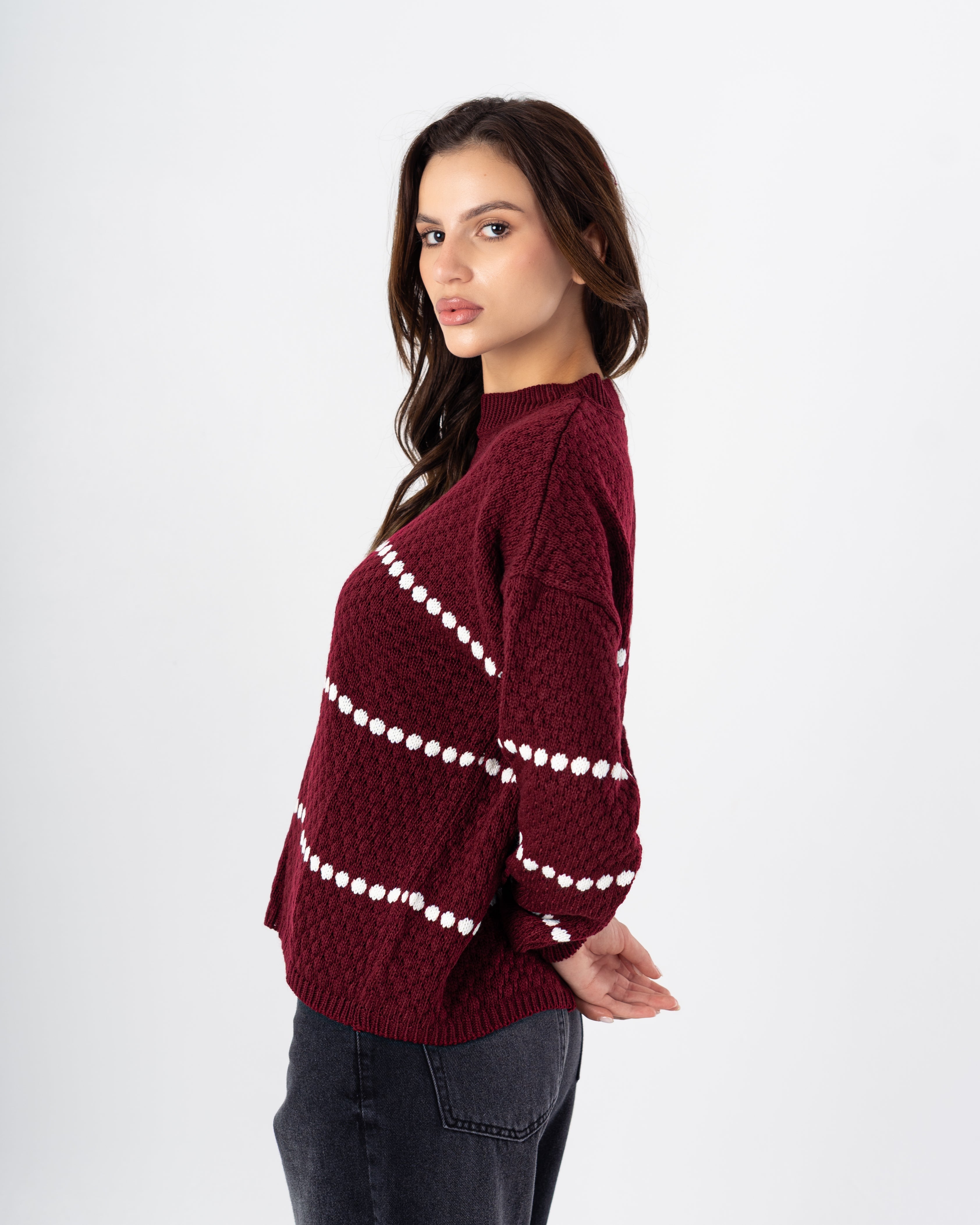 Knitwear Pullover with Dotte Stripe