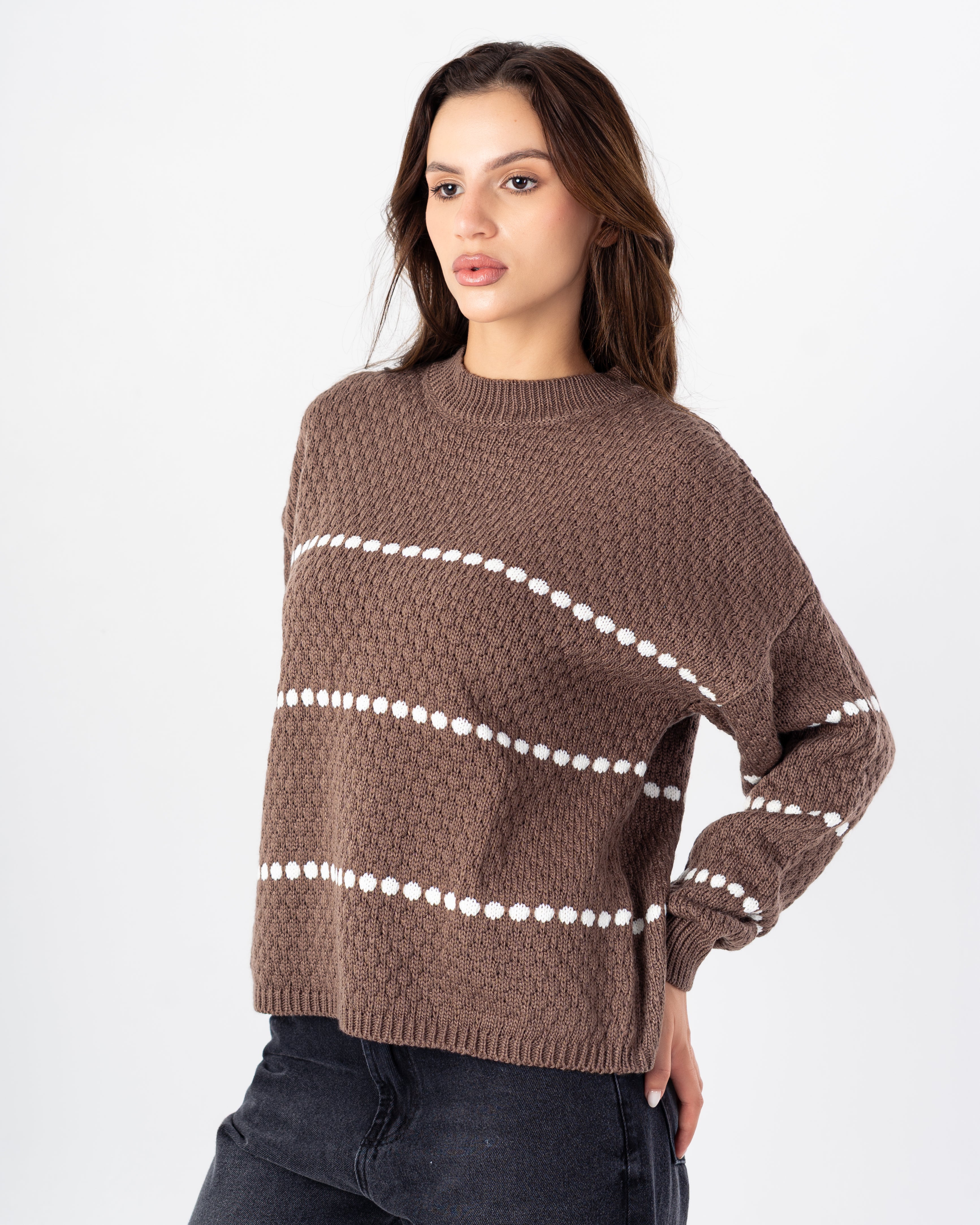 Knitwear Pullover with Dotte Stripe