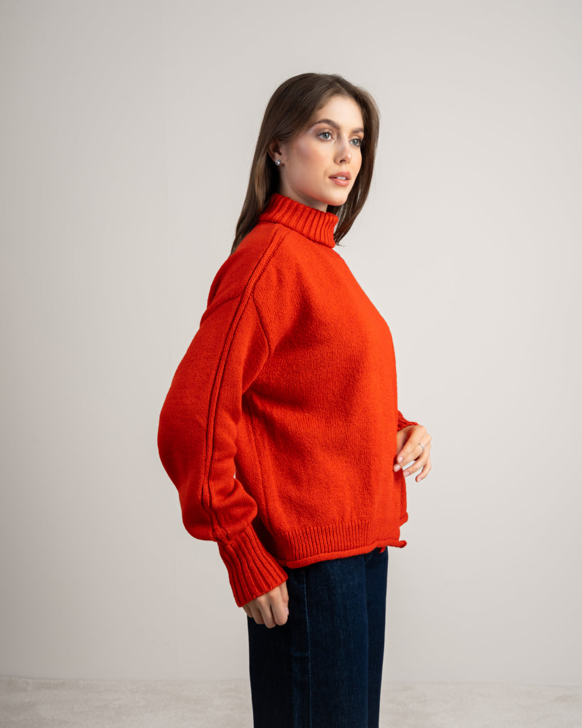 Turtleneck Knitwear Pullover
