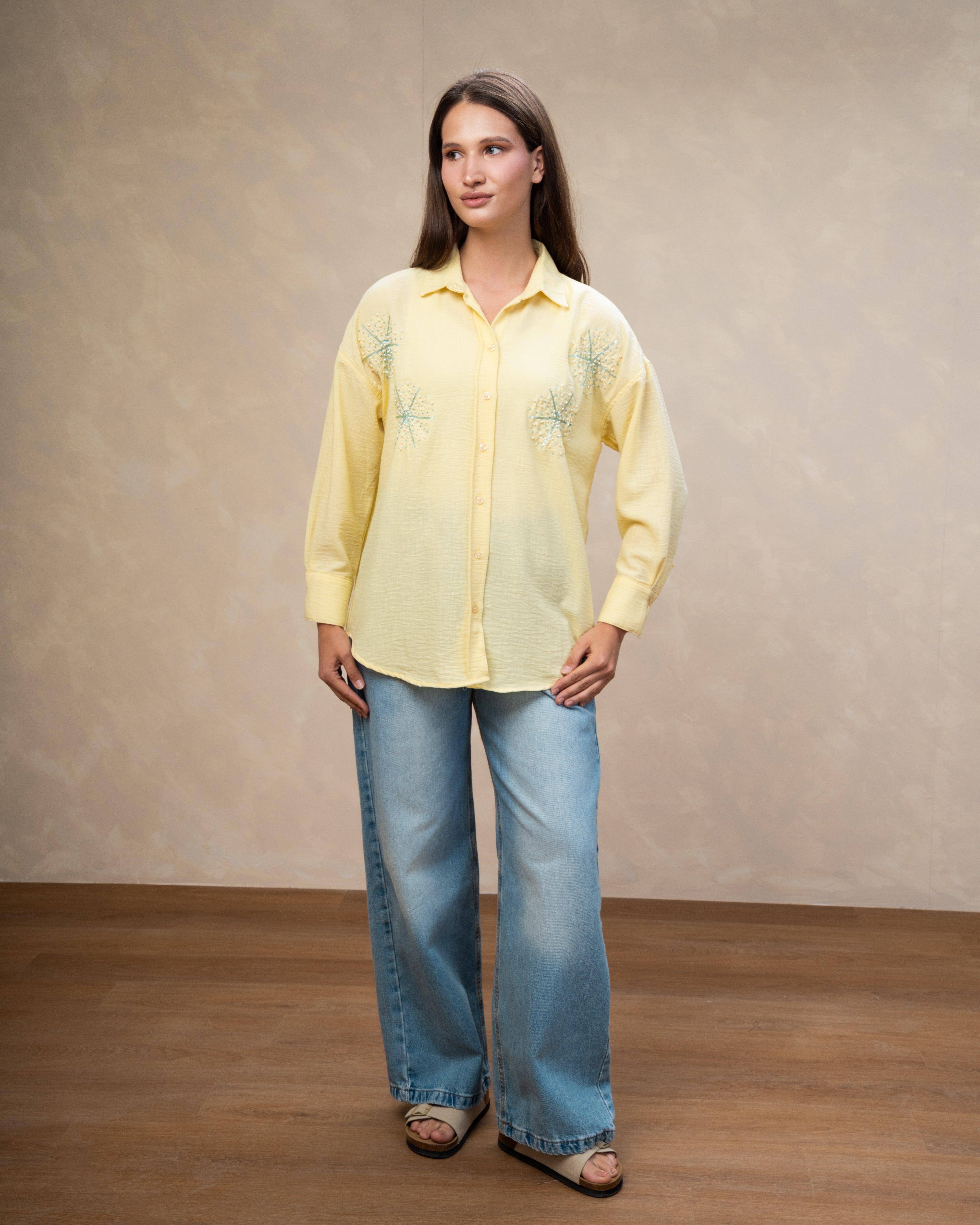 Star Dotted Embroidered Shirt
