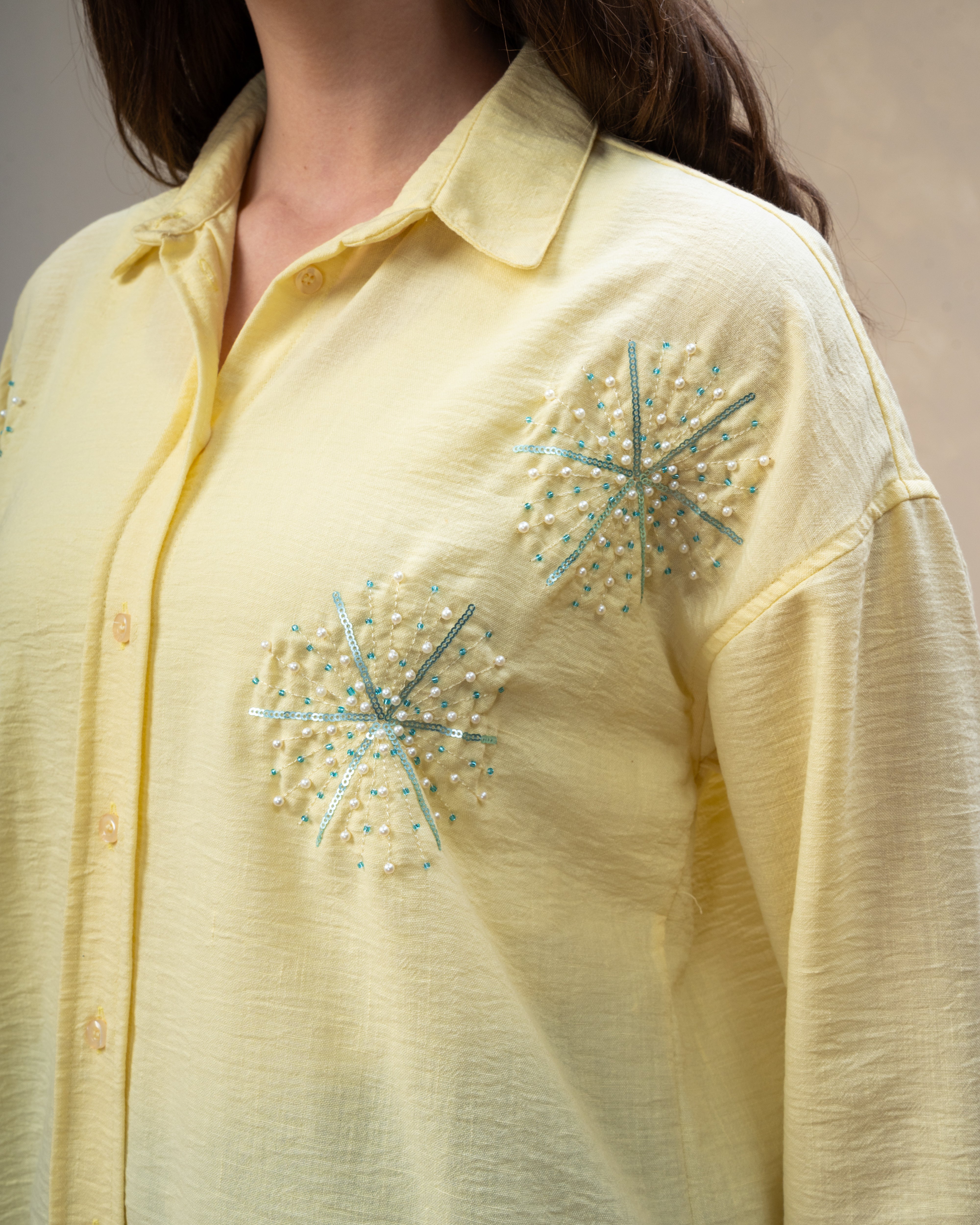 Star Dotted Embroidered Shirt